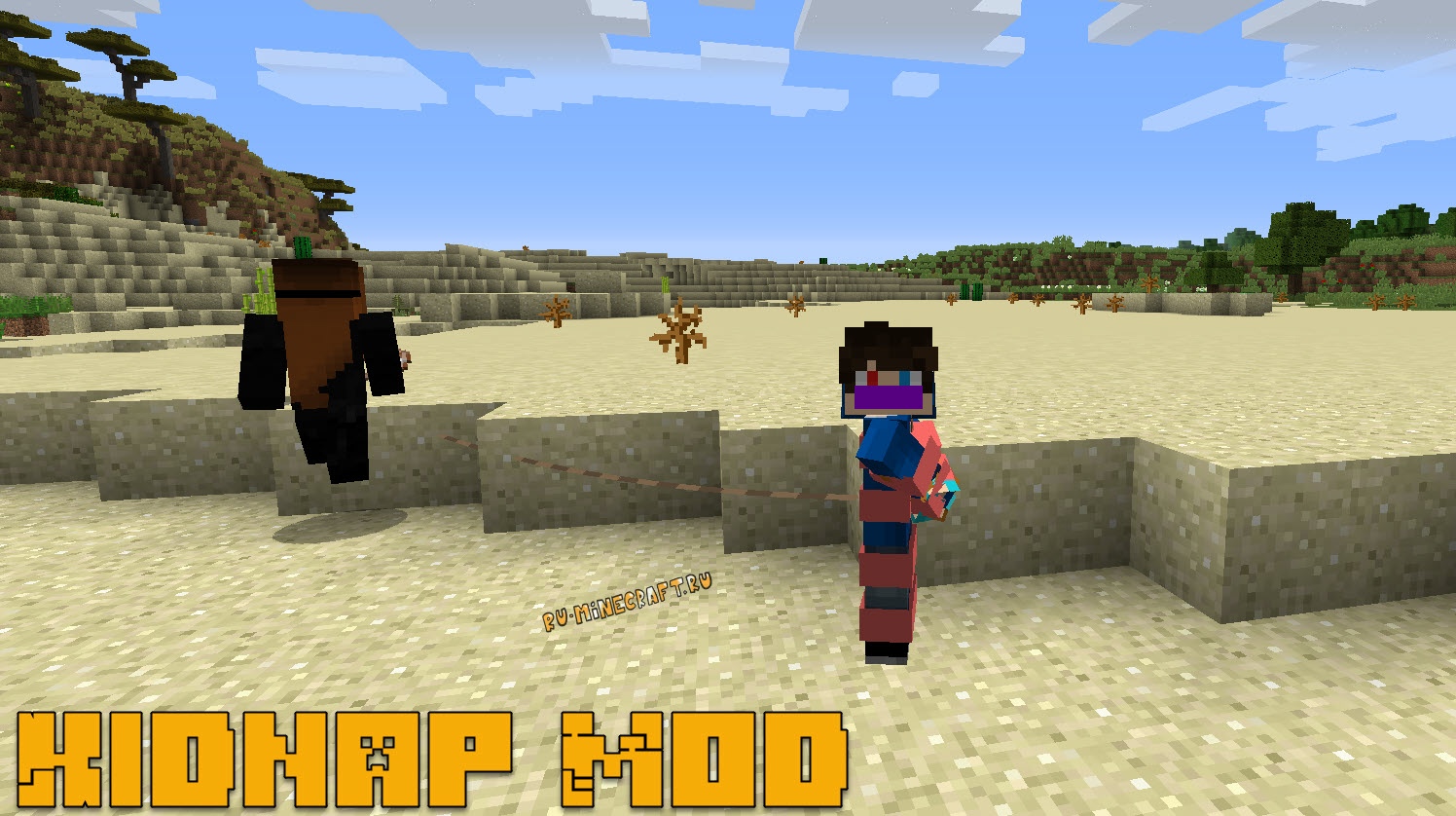 Kidnap Mod